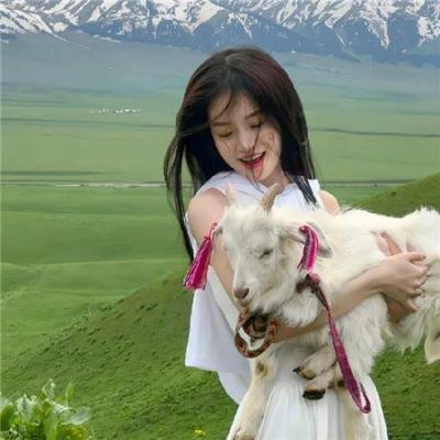 莱姆生活