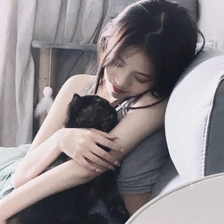 超级救援狗